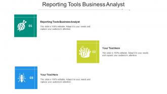 Reporting tools business analyst ppt powerpoint presentation outline information cpb