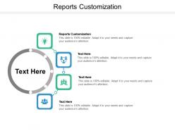 Reports customization ppt powerpoint presentation summary slides cpb