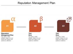 Reputation management plan ppt powerpoint presentation gallery guidelines cpb