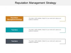 Reputation management strategy ppt powerpoint presentation professional portfolio cpb