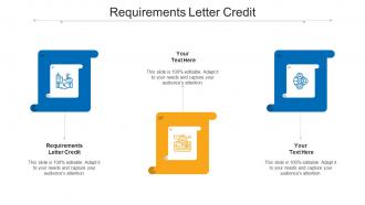 Requirements Letter Credit Ppt Powerpoint Presentation Infographics Outfit Cpb