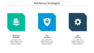 Resilience strategies ppt powerpoint presentation gallery background image cpb