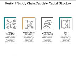 Resilient supply chain calculate capital structure launching product market cpb