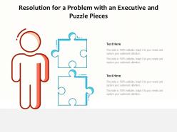 Resolution for a problem with an executive and puzzle pieces