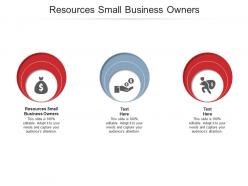 Resources small business owners ppt powerpoint presentation infographics slides cpb
