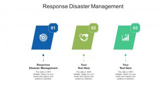 Response disaster management ppt powerpoint presentation infographics show cpb
