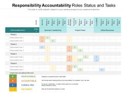 Responsibility accountability roles status and tasks