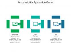 Responsibility application owner ppt powerpoint presentation layouts inspiration cpb