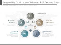 Responsibility of information technology ppt examples slides