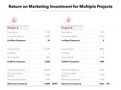 Return on marketing investment for multiple projects