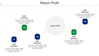 Return Profit Ppt Powerpoint Presentation Icon Display Cpb