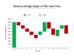 Revenue bridge graph of net cash flow