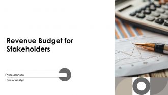 Revenue Budget For Stakeholders PPT Guidelines AT