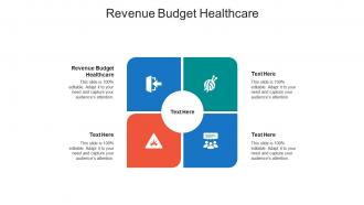 Revenue budget healthcare ppt powerpoint presentation show layout ideas cpb