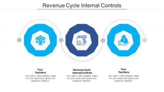 Revenue cycle internal controls ppt powerpoint presentation outline portrait cpb