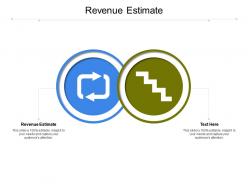 Revenue estimate ppt powerpoint presentation outline gallery cpb