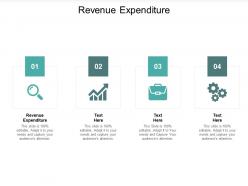 Revenue expenditure ppt powerpoint presentation slides clipart cpb