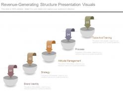 Revenue Generating Structure Presentation Visuals