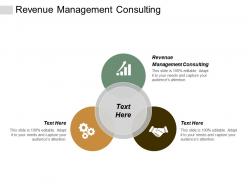 Revenue management consulting ppt powerpoint presentation rules cpb