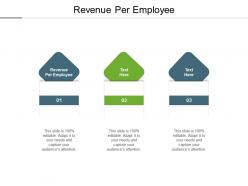Revenue per employee ppt powerpoint presentation styles objects cpb