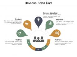 Revenue sales cost ppt powerpoint presentation slides diagrams cpb