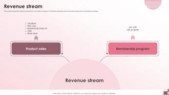 Revenue Stream Beauty Products Company Investment Funding Elevator Pitch Deck