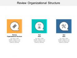 Review organizational structure ppt powerpoint presentation slides sample cpb