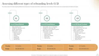 Revitalizing Brand For Success Assessing Different Types Of Rebranding Levels