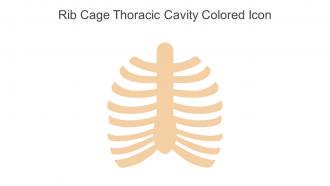 Rib Cage Thoracic Cavity Colored Icon In Powerpoint Pptx Png And Editable Eps Format