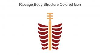 Ribcage Body Structure Colored Icon In Powerpoint Pptx Png And Editable Eps Format