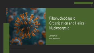 Ribonucleocapsid Organization And Helical Nucleocapsid PPT Slides AT
