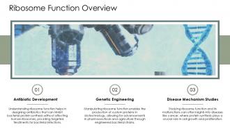 Ribosome Function PPT Graphics ACP Multipurpose Researched