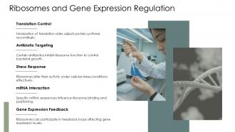 Ribosome Function PPT Graphics ACP Impactful Designed