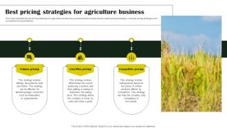 Rice Farming Business Best Pricing Strategies For Agriculture Business BP SS
