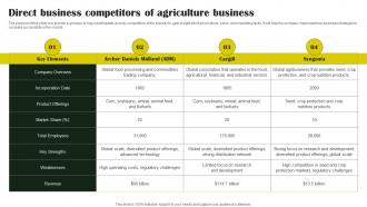 Rice Farming Business Direct Business Competitors Of Agriculture Business BP SS