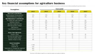 Rice Farming Business Key Financial Assumptions For Agriculture Business BP SS