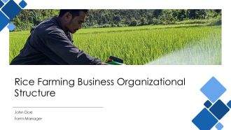 Rice Farming Business Organizational Structure PPT PowerPoint AT