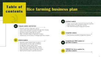 Rice Farming Business Plan Powerpoint Presentation Slides Informative Visual