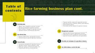Rice Farming Business Plan Powerpoint Presentation Slides Analytical Visual
