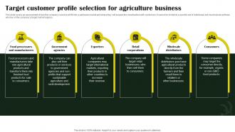 Rice Farming Business Target Customer Profile Selection For Agriculture Business BP SS