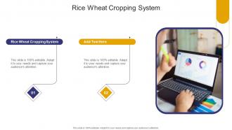 Rice Wheat Cropping System In Powerpoint And Google Slides Cpb