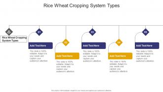 Rice Wheat Cropping System Types In Powerpoint And Google Slides Cpb