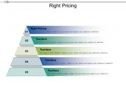 Right pricing ppt powerpoint presentation gallery graphics cpb