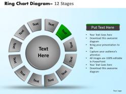 Ring chart diagram 12 stages 12