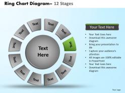 Ring chart diagram 12 stages 12