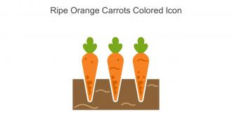 Ripe Orange Carrots Colored Icon In Powerpoint Pptx Png And Editable Eps Format