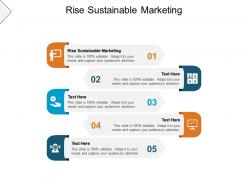 Rise sustainable marketing ppt powerpoint presentation demonstration cpb