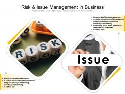 Risk and issue management in business
