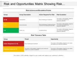 Risk and opportunities matrix showing risk tolerance table with opportunity