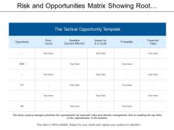 Risk And Opportunities Matrix Showing Root Cause And Probability Of Risks